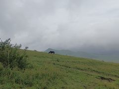 -灵山