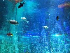 -沈阳海洋探索中心