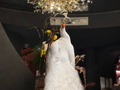 -滇野云南野生菌餐厅(陕西南路店)