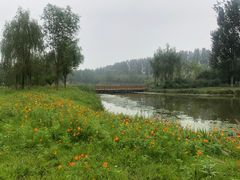 -东郊湿地公园