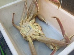 -本达人海鲜烧烤·朝鲜族风味(发展店)