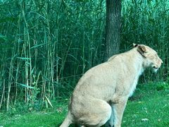 -北京野生动物园