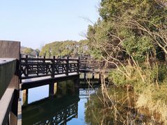 -白马涧龙池景区