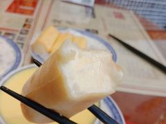 炸牛奶-捷信牛奶甜品世家(五道口店)