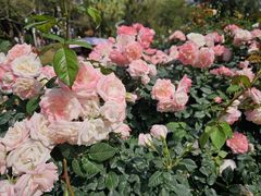 -人民公园(罗湖区)