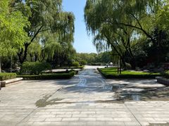 -百脉泉景区