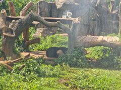 -海南热带野生动植物园