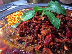 -探鱼·鲜青椒爽麻烤鱼(北京路天河城店)