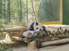 -杭州野生动物世界