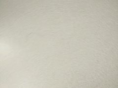 -海德公园