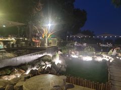 -蘇河湾·新鲁菜·泰山宴(泰山店)