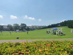 -迪茵湖田家舍生态农场