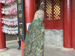 -南沙天后宫景区