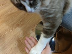 -白兔子密室(长寿路店)