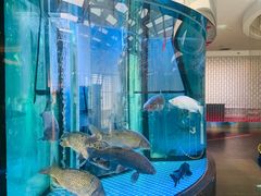 -王家渡火锅店(棕榈泉店)