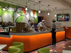-油梨树 AVOCADO TREE(亮马桥店)