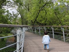 -西湖风景区-江洋畈生态公园