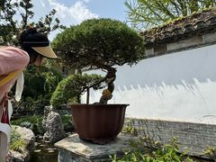 -水绘园