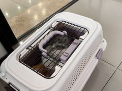 -宠颐生动物医院·小陆分院