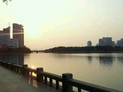 android_upload_pic-白鹭洲公园