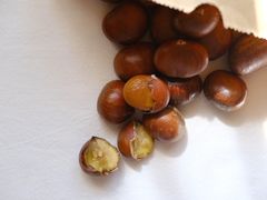 -陈记栗子(长宁路店)