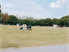-上海滨江森林公园