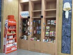 -瑞派名望志远动物医院·猫科·內科·异宠专科(直港大道店)