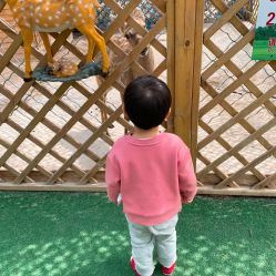 -萌宠亲子动物乐园(槐房万达店)