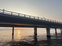 -演武大桥观景平台