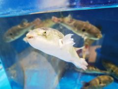 -北塘海鲜·天津菜(大光明桥旗舰店)