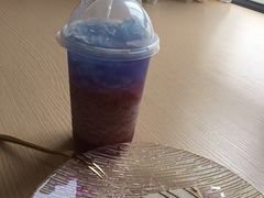 -Husky Go! 哈士奇体验馆·宠物咖啡厅狗咖