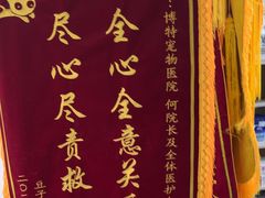 -博特宠物医院24h犬猫全科.骨科·异宠