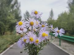 -大青山野生动物园