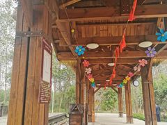 -合肥滨湖国家森林公园