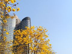 -洲头咀公园