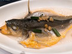 普宁豆酱百秒小黄鱼-漢舍中国菜馆(889广场店)