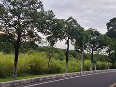 -广东花都湖国家湿地公园