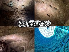 -中国西峡恐龙遗迹园