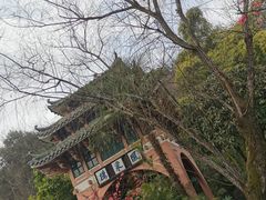 -重庆园博园