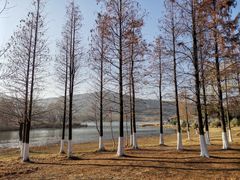 -长广溪湿地公园