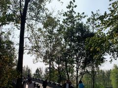 -溱湖国家湿地公园