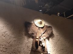 -并州大牌档之醉轻尘