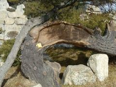 android_upload_pic-泰山花样年华景区