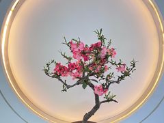 -留园