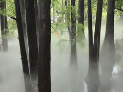 -东湖落雁景区