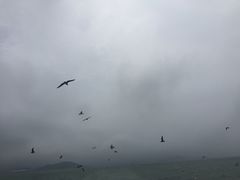 -海驴岛(荣成市)