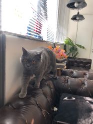 -飛凡TATTOO纹身•原创