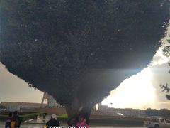 -特克斯八卦城