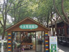 -合肥滨湖国家森林公园