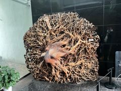 -长沙简牍博物馆